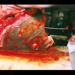 Vražda na Štědrý den